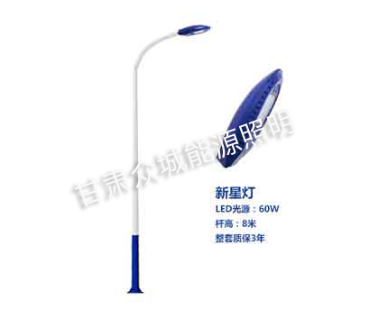 乃东爆款市电路灯